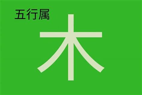 竹 五行|竹字的五行属什么